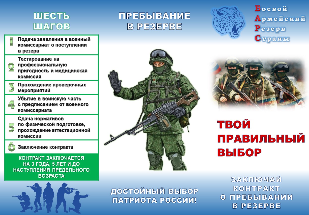 Боевой Армейский Резерв Страны.