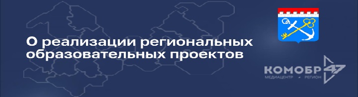 Реализация региональных образовательных проектов в Ленинградской области.