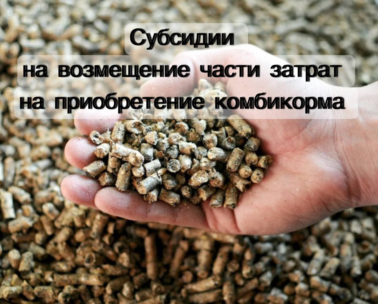 Субсидии на возмещение части затрат на приобретение комбикорма.