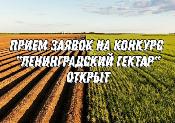 Конкурс «Ленинградский гектар».