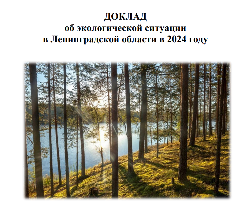Доклад об экологической ситуации в Ленинградской области в 2024 году.