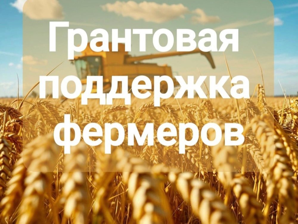      Конкурс на получение Гранта на развитие фермерского хозяйства.