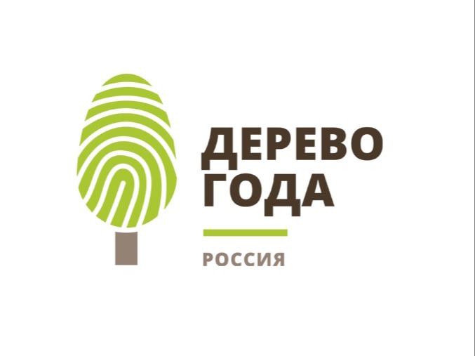 Ежегодный Всероссийский конкурс «Российское дерево года – 2026».