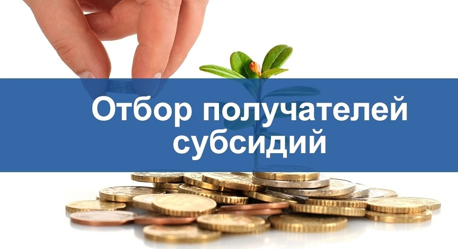 О проведении конкурсного отбора среди некоммерческих организаций инфраструктуры поддержки предпринимательства на получение субсидий.